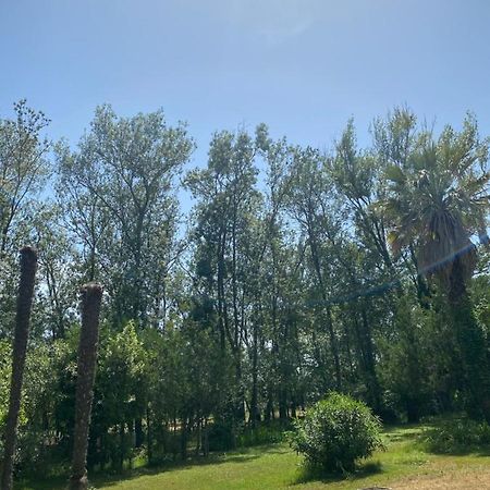 Chalet En Pleine Nature La Roquette-sur-Siagne Bagian luar foto